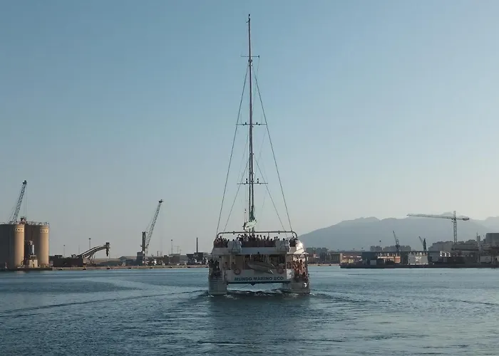 New Maritimo